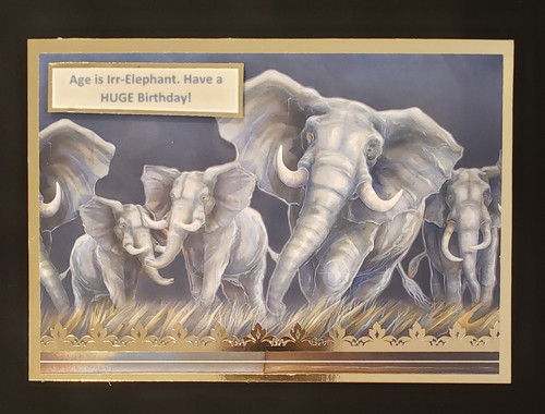 Live Stream Work Along Class Kit -- Hunkydory Animal Kingdom -- Wild at Heart - 7 CARDS! (Thur July 1st)