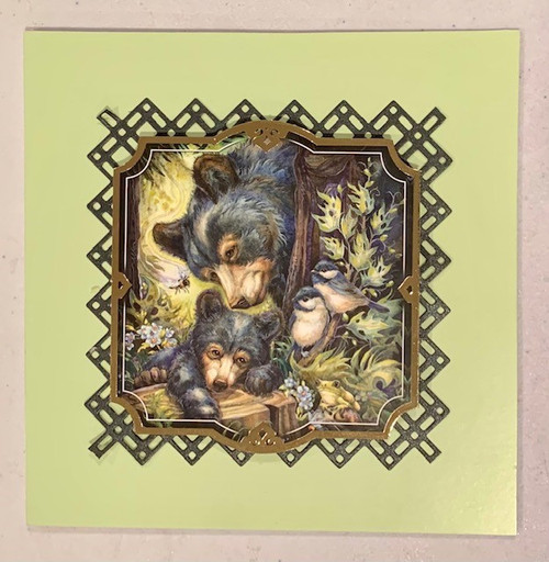 Live Stream Work Along Kit -- Hunkydory Animal Kingdom -- Stay Wild Bear Cards! (Sat, July 3rd)