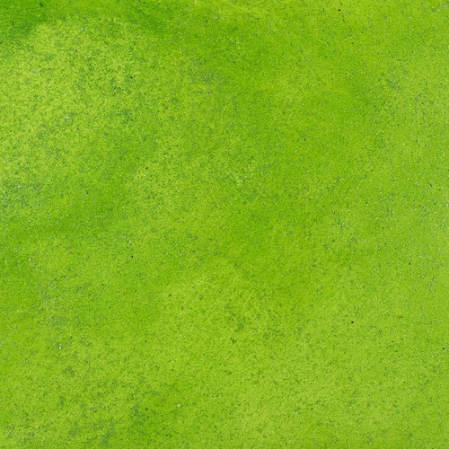 Cosmic Shimmer Lustre Polish- Apple Fizz