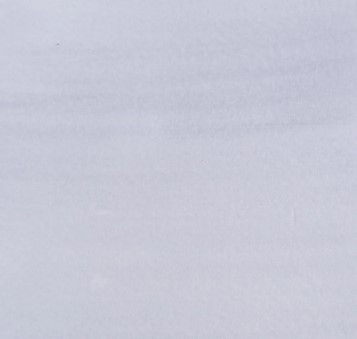 Cosmic Shimmer Botanical Stains by Sam Poole- Black Bean