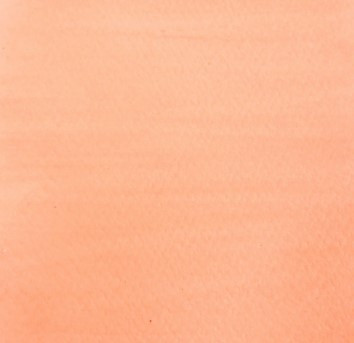 Cosmic Shimmer Botanical Stains by Sam Poole- Sandalwood