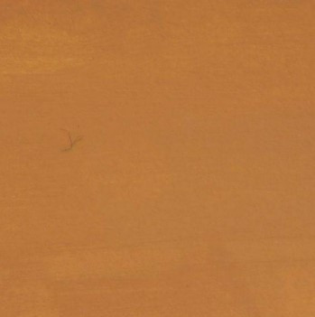 Cosmic Shimmer - Andy Skinner Matt Chalk Paint- Mustard Seed