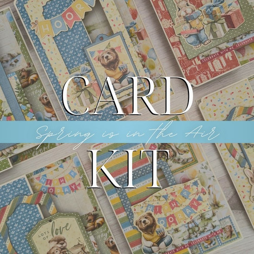 Graphic 45 Card Kit 2025 Hip Hip Hooray! - Z Fold Card Set