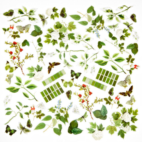 49 and Market Willow Acetate Assortment