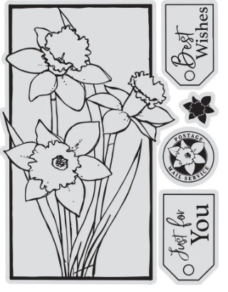 Couture Creations - Framed Daffodils Stamp & Colour Outline Stamps (5pc)