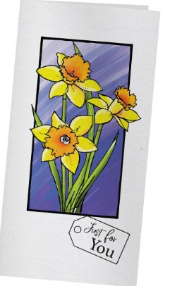 Couture Creations - Framed Daffodils Stamp & Colour Outline Stamps (5pc)