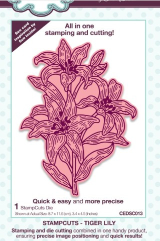 Creative Expressions- Sue Wilson- StampCuts- Tiger Lily Craft Die