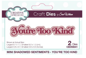 Creative Expressions- Sue Wilson- Mini Shadowed Sentiments- You're Too Kind Craft Die