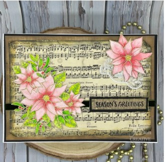 Creative Expressions- Jane's Doodles A5 Clear Stamp Set- Poinsettia