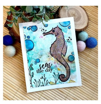 Creative Expressions- Bonnita Moaby A5 Clear Stamp Set- Seas The Day