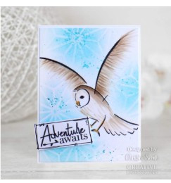 Creative Expressions- Bonnita Moaby A5 Clear Stamp Set- Stay Wild