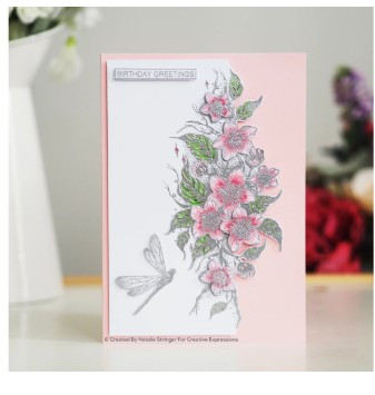 Creative Expressions- Designer Boutique Collection A5 Clear Stamp Set- Sweet Cherry