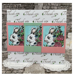 Creative Expressions- Designer Boutique A6 Clear Stamp Set- Rosy Whiskers