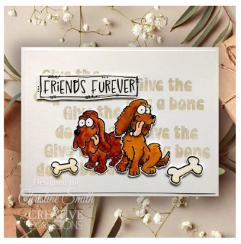 Creative Expressions- Designer Boutique A5 Clear Stamp Set- Canine Capers