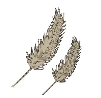 Couture Creations -Mini Stamp & Die Set- Earthy Delights Collection- Feather