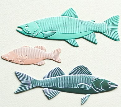 Memory Box- Open Studio- 3D Embossing Folder & Matching Dies- Freshwater Fish EF1028