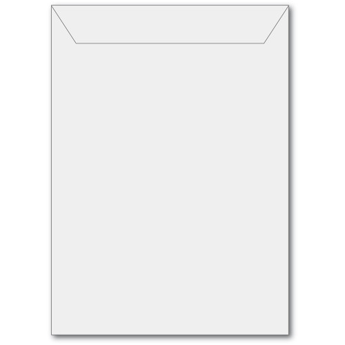 Memory Box- 50 Large Storage Pouch Clear SB1001