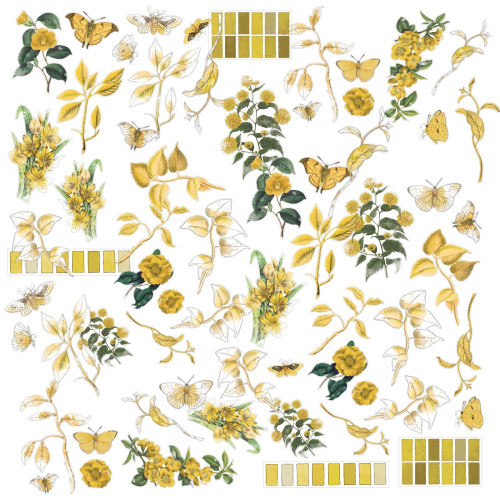 49 and Market Ochre Acetate Assortment