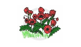 Frog's Whiskers Ink Stamp - Wild Poppies 2X2"