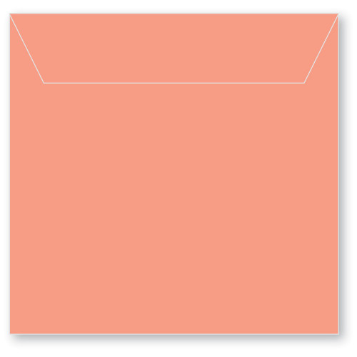 Memory Box- 50 Small Storage Pouch Poppy Red SB1021