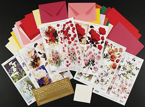 Reddy Floral Greeting Cards with Dimension Makes 12 A6 Cards W/envelopes