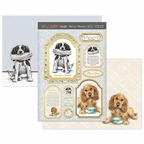 Hunkydory It's a Dog's Life- Spaniel & Cocker Spaniel Luxury 3-Piece Topper Set
