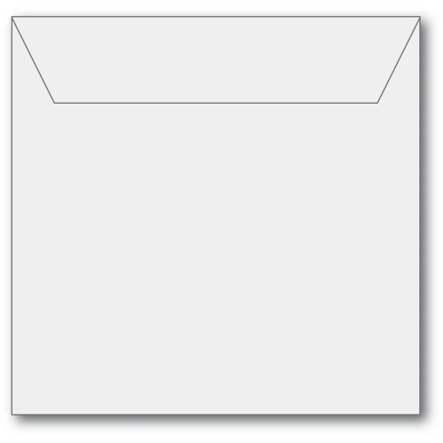 Memory Box- 50 Small Storage Pouch Clear SB1003