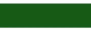 Quilled Creations 1/8" Quillography Quilling Paper - 50 pieces- Forest Green