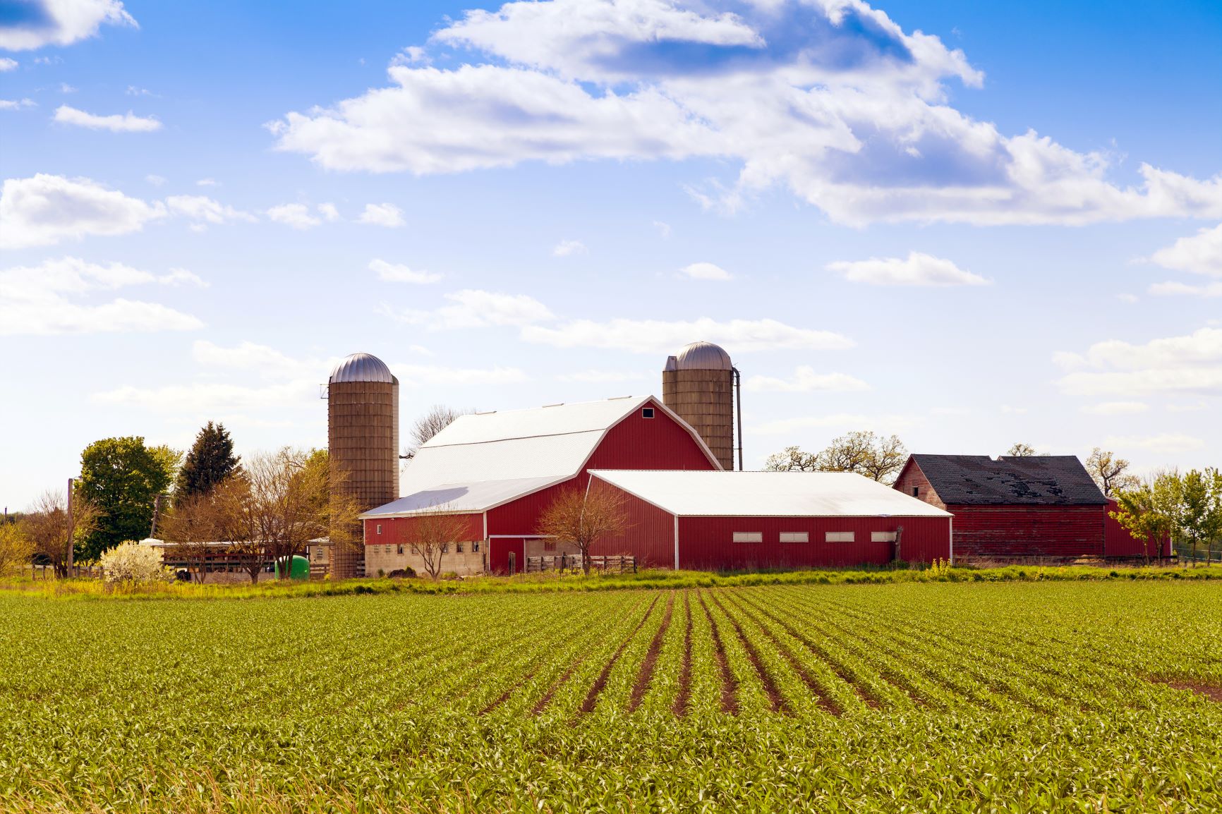 Large Farm