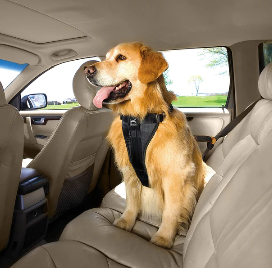 Enhanced Strength Tru-Fit Smart Harness w/Seatbelt Tether Black 50-80 lb -  Pet Food Warehouse