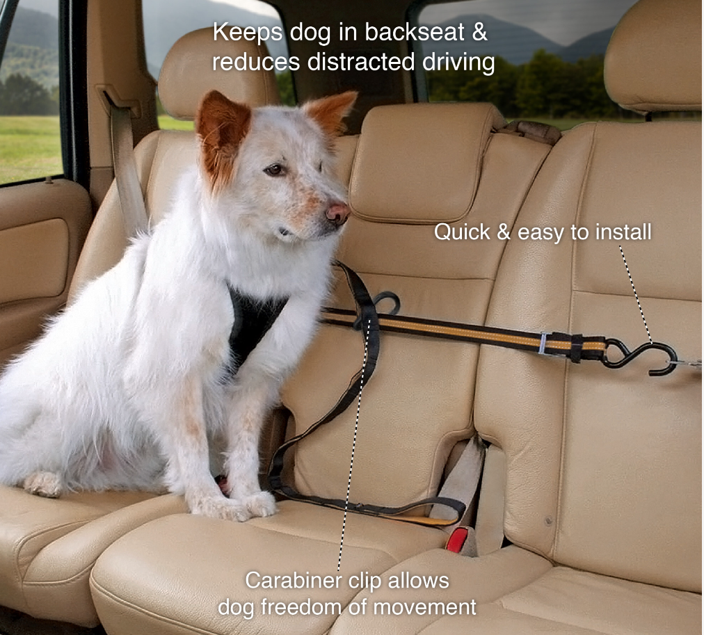 Auto Zip Line with Leash/Tether Black/Orange - Pet Food Warehouse