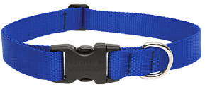 Lupine Collar Blue 1" 1220 Pet Food Warehouse