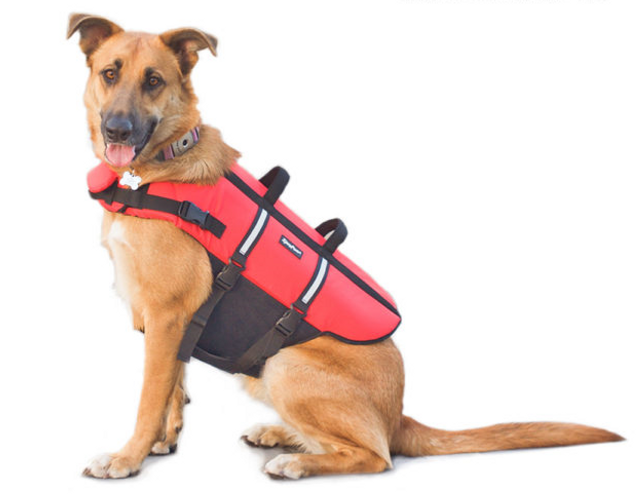 pawz life jacket