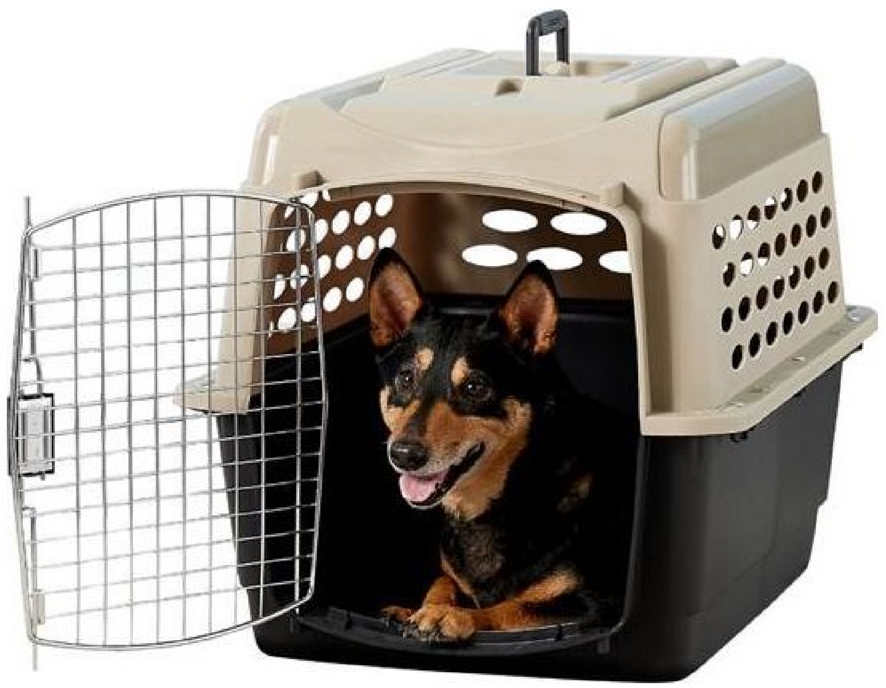 petmate 40 compass kennel