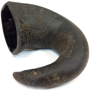 Water Buffalo Horn Medium