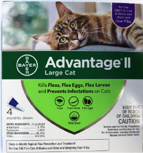 09+ Advantage II Large Cat 4 Month