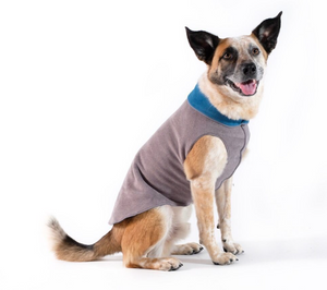 Gold Paw Double Fleece Charcoal & Marine Size 24