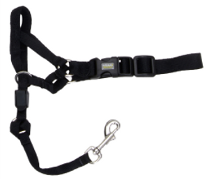 Coastal Dog Head Halter Walk N Train Extra Small
