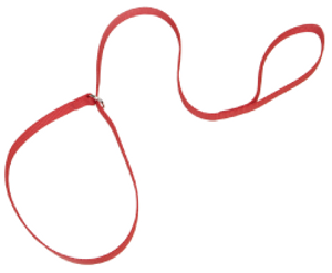 Coastal Kennel Dog Lead Red 6' x 5/8