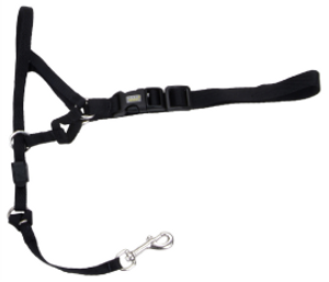 Coastal Dog Head Halter Walk N Train Extra Extra Large