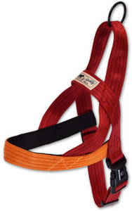 Hamilton Harness Norwegian Campfire Red & Mango 5/8 19.5-26"