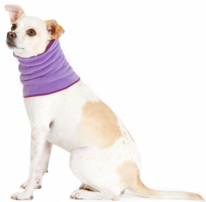 Gold Paw Snood Lavender & Eggplant Large