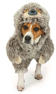 Slo Sloth Front Face Costume Extra Medium