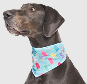 Chill Seeker Cooling Bandana Popsicles Small