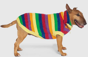 Canada Pooch Over the Rainbow Sweater Rainbow Stripesize 18