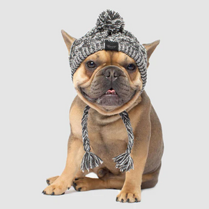 Canada Pooch Polar Pom Pom Hat Charcoal Large