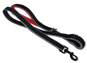 Kurgo Springback Leash 48"