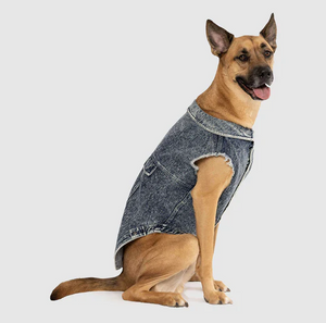 Canada Pooch Downtown Denium Vest Blue Size 28
