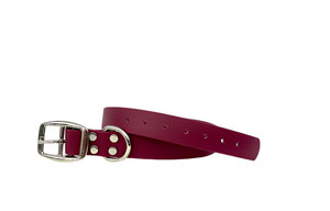 Waggle Woof & Wander Biothane Dog Collar Wine 1" Large 17.75-22.25
