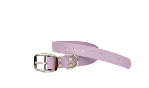 Waggle Woof & Wander Biothane Dog Collar Lavender 1" Extra Large 19.75-24.25